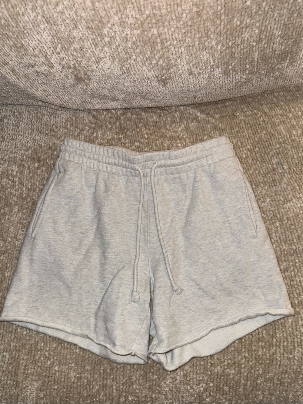 TNA Aritzia Cozy Fleece Gray Sweat Shorts